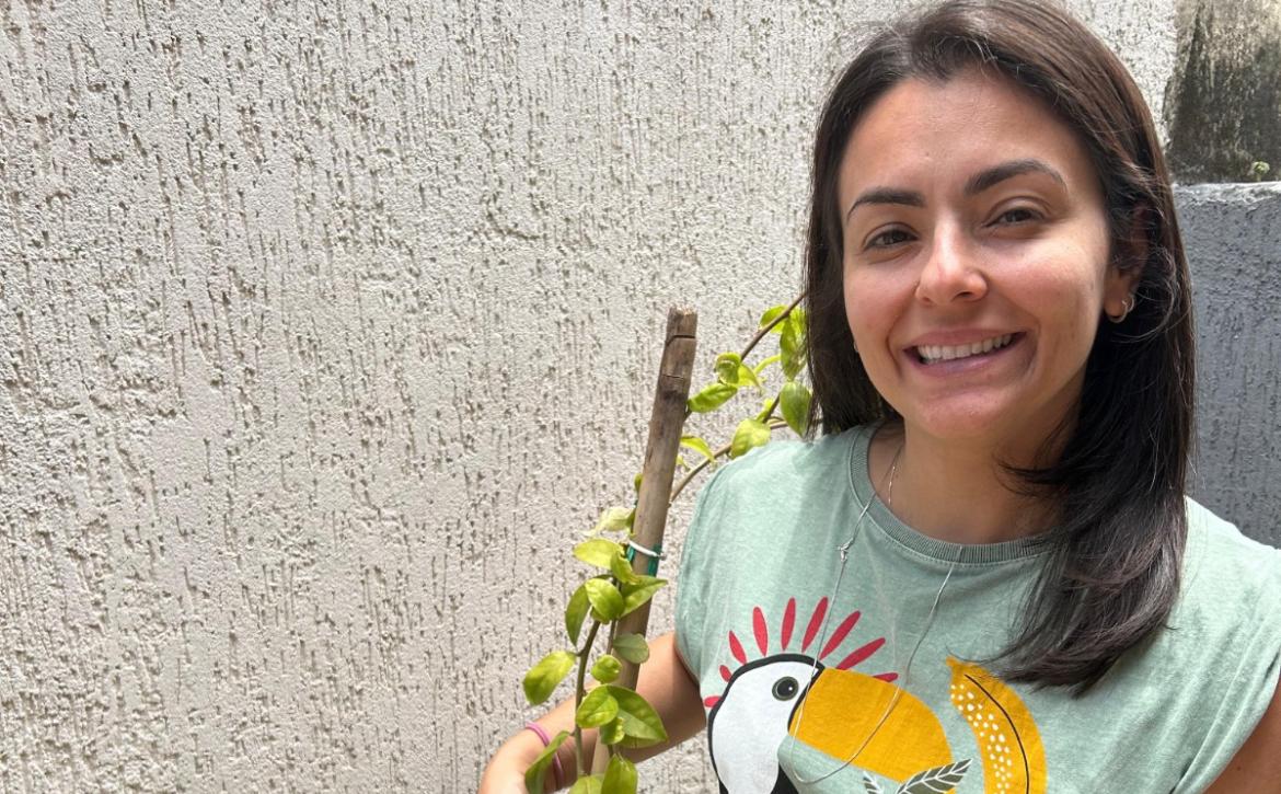 Conheça as plantas que podem decorar a sua casa (e ainda por cima matar a sua fome)