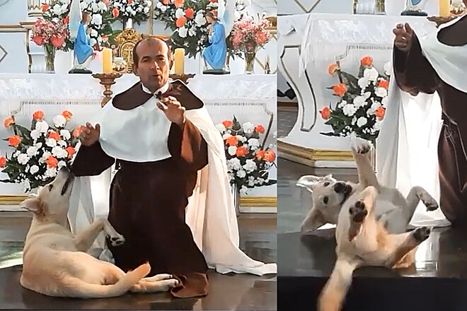 Devoto? Cãozinho amistoso participa de missa e ainda brinca com batina de padre