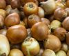 Cascas de cebola: aprenda a fazer um fertilizante natural e rico em nutrientes - Jornal da Franca
