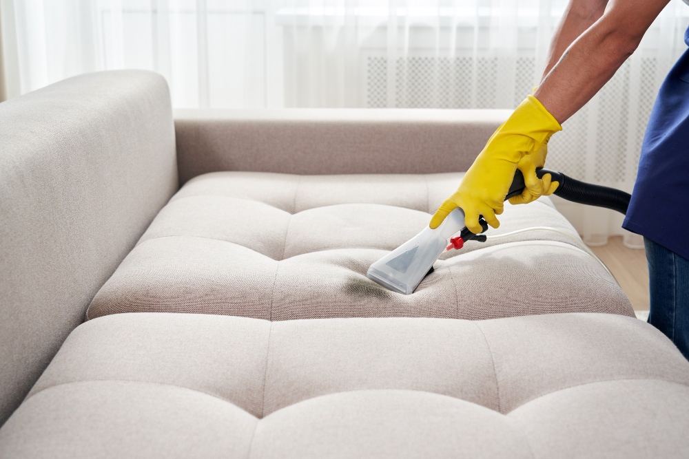 Sem sujeira e sem manchas: descubra seis dicas para manter os estofados renovados