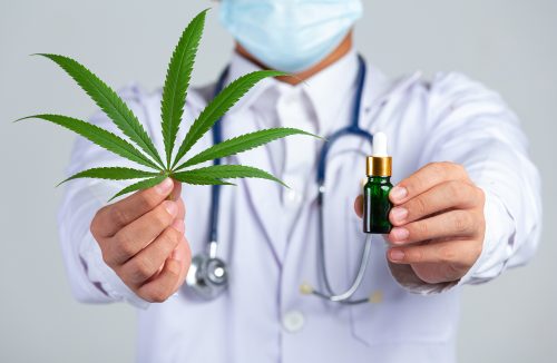 Marco Legal da Cannabis pode permitir o plantio caseiro para fins medicinais - Jornal da Franca
