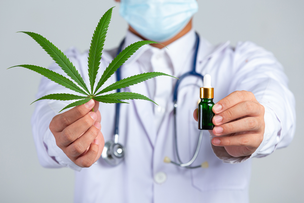 Marco Legal da Cannabis pode permitir o plantio caseiro para fins medicinais