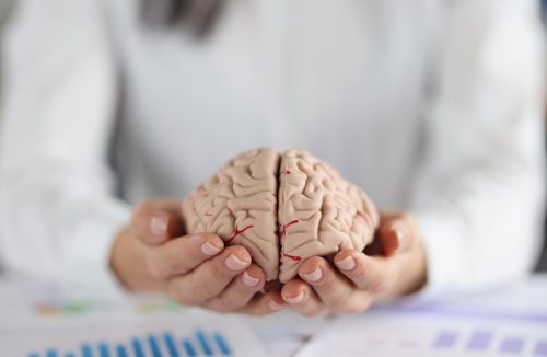 Estudo revela que o cérebro humano está ficando maior; saiba o que isso significa - Jornal da Franca