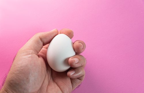 Quer saber se um ovo está próprio para consumo? Use a lanterna do seu celular! - Jornal da Franca