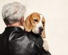 Dez incríveis benefícios de ter um cão em casa, segundo comprovação da ciência - Jornal da Franca