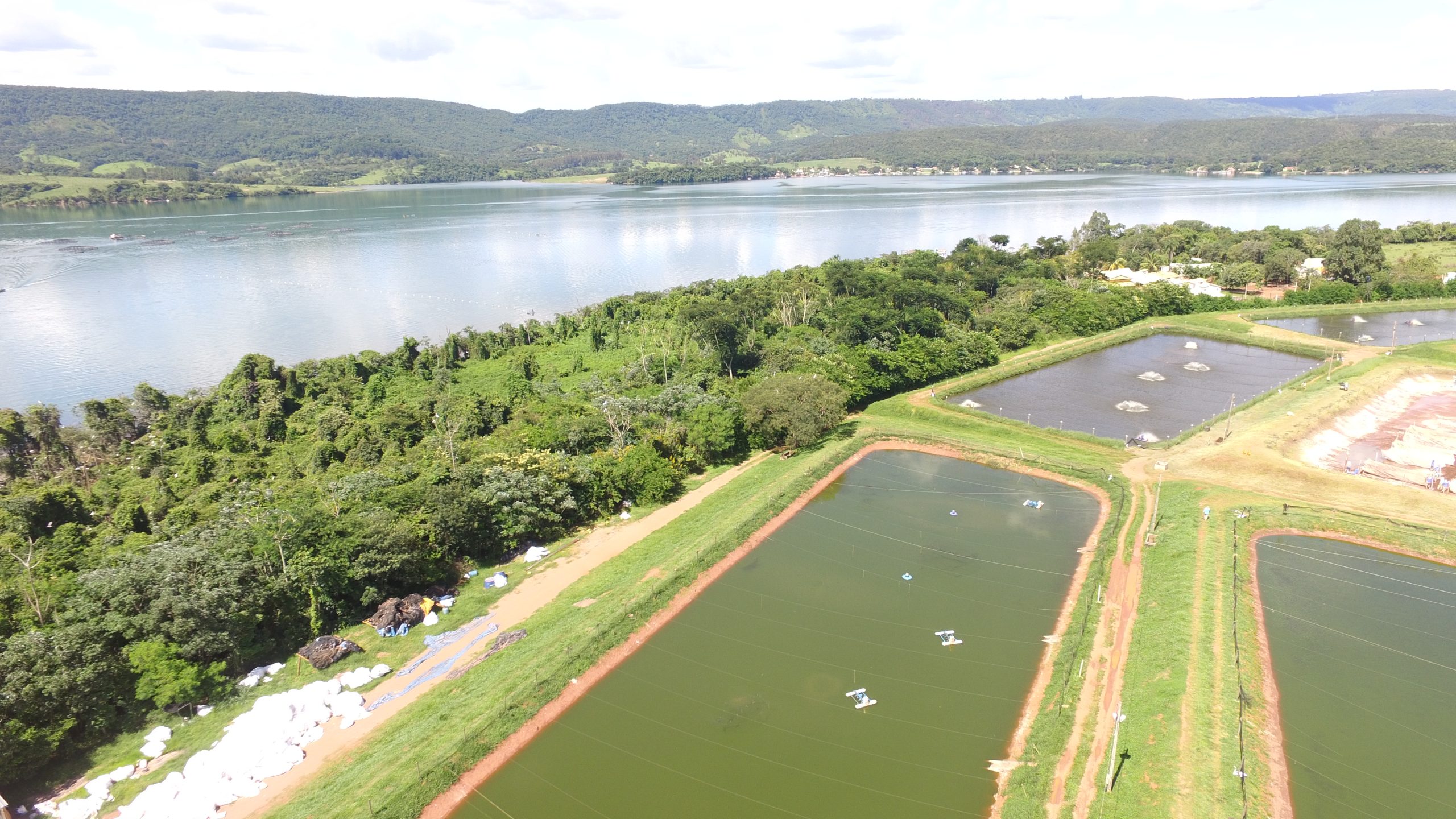 Fider Pescado faz avaliação de impacto ambiental e monitora água da represa Jaguara