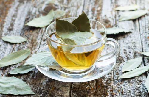 Chá de louro: saiba os principais benefícios da bebida antioxidante - Jornal da Franca
