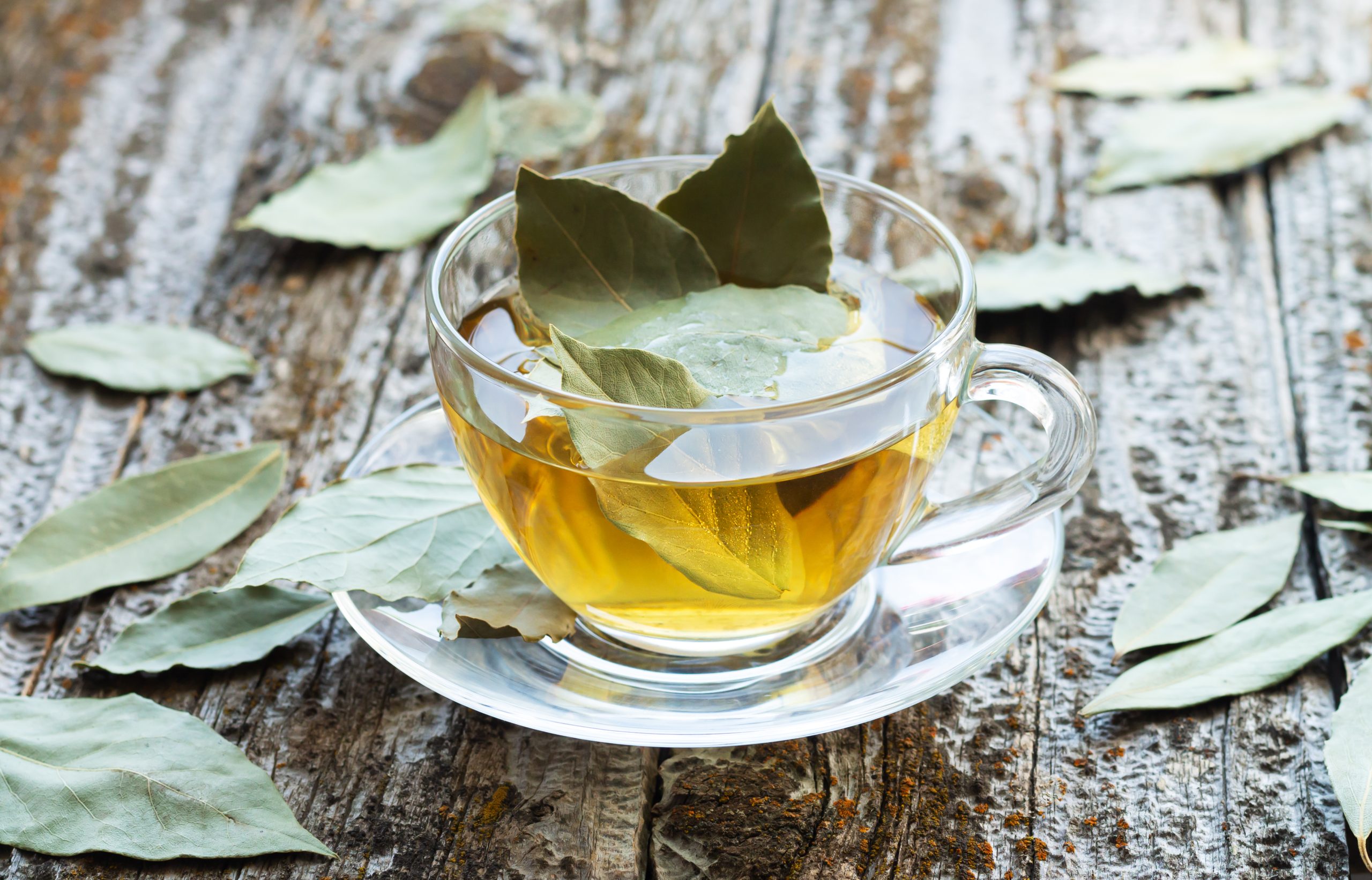 Chá de louro: saiba os principais benefícios da bebida antioxidante