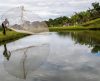 Repleto de rios e represas, Brasil estava importando tilápias do Vietnam - Jornal da Franca
