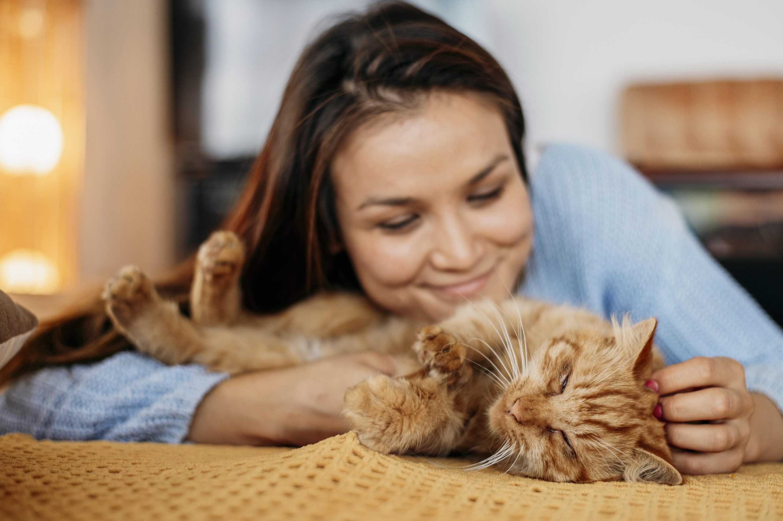 Gatos miam mais para homens ou mulheres? Estudo revela a preferência dos felinos