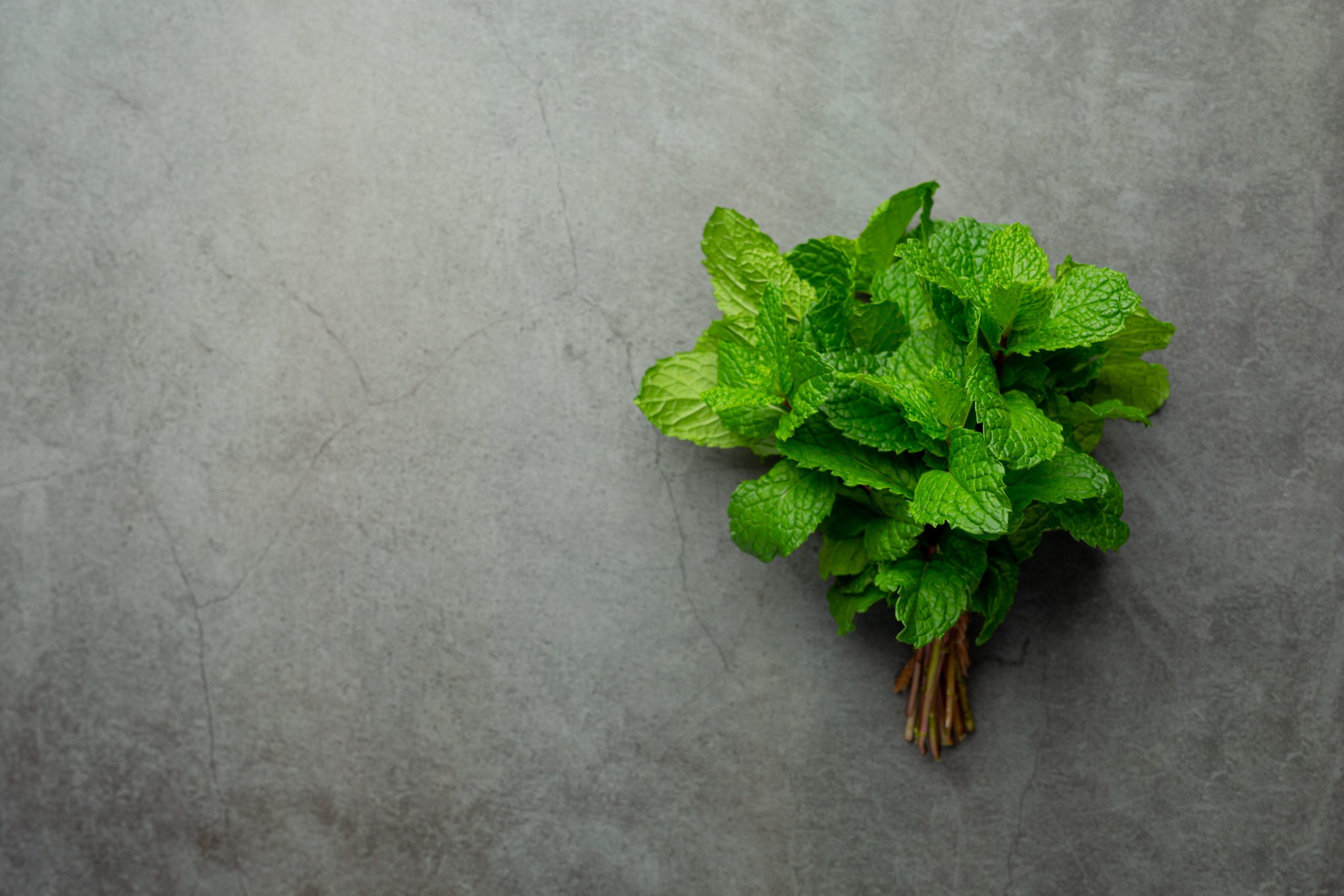 Você sabe a diferença entre menta e hortelã? Veja os benefícios de cada um