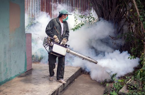 Governo de SP fará grande mobilização contra a dengue no dia 1º de março - Jornal da Franca