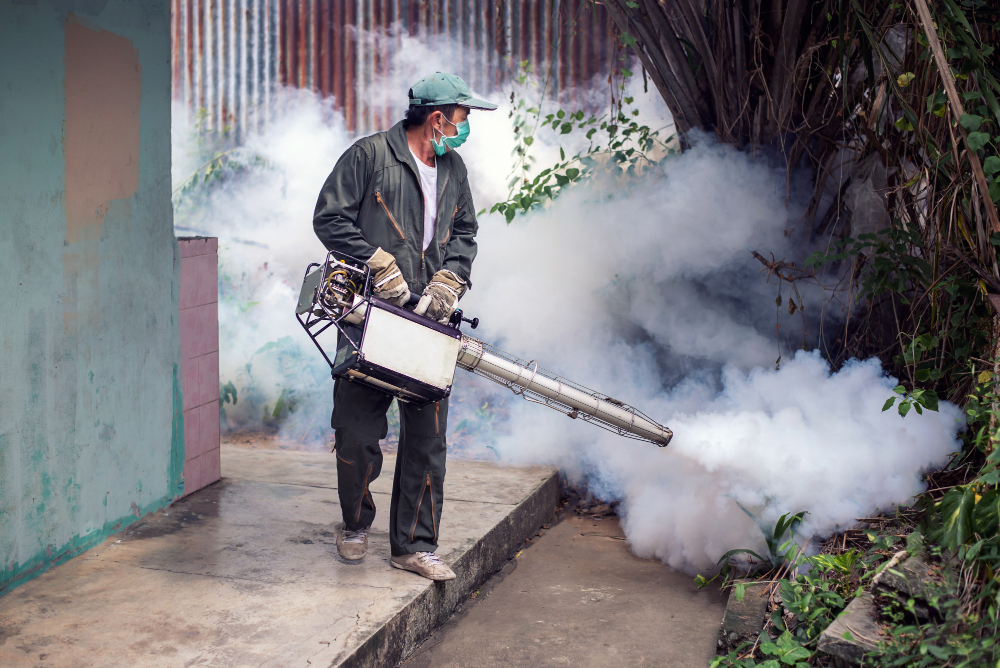 Com 650 mil casos de dengue registrados, Brasil ultrapassa 113 mortes pela doença