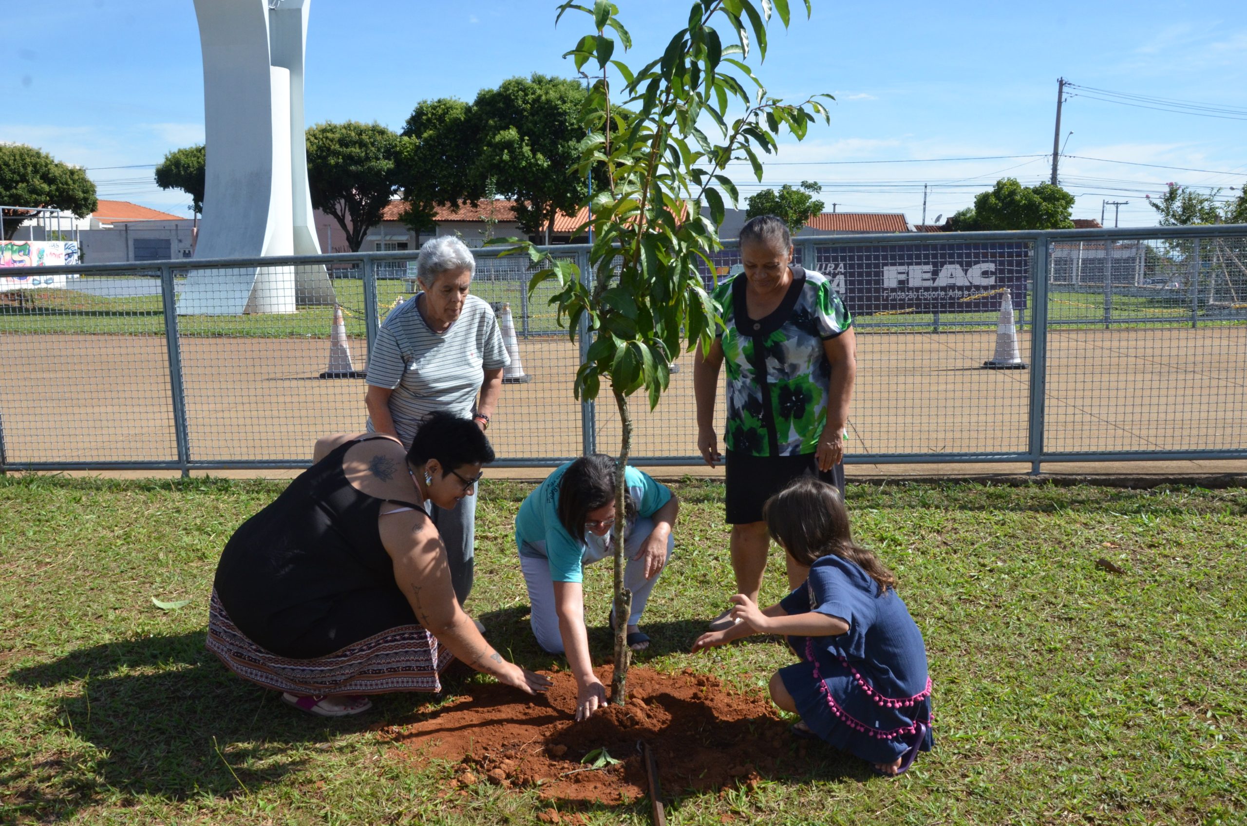 Praça da Juventude, em Franca, recebe plantio de novas mudas