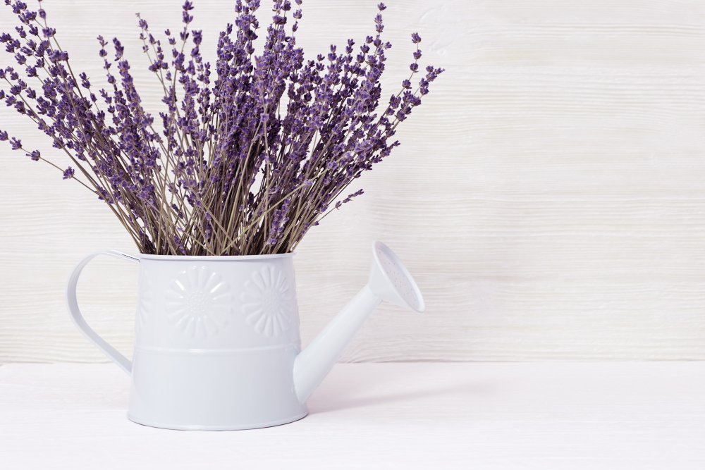 Veja as maneiras para criar um ambiente caseiro perfumado e relaxante com lavanda