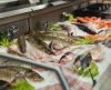 Instituto da Pesca dá dicas de peixes bons e baratos para a Semana Santa - Jornal da Franca