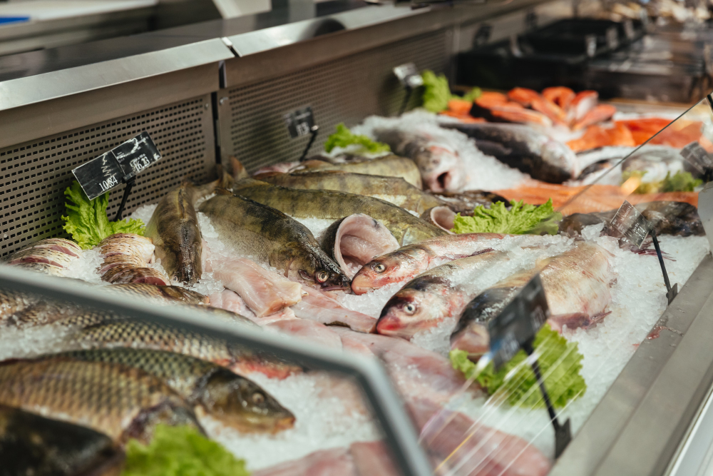 Instituto da Pesca dá dicas de peixes bons e baratos para a Semana Santa
