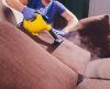 Conheça as dicas para limpar sofá sem precisar lavar e ainda fica parecendo novinho - Jornal da Franca