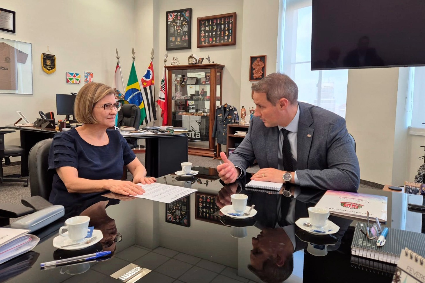 Elevação de categoria das Delegacias da Mulher recebe últimos ajustes, diz Graciela