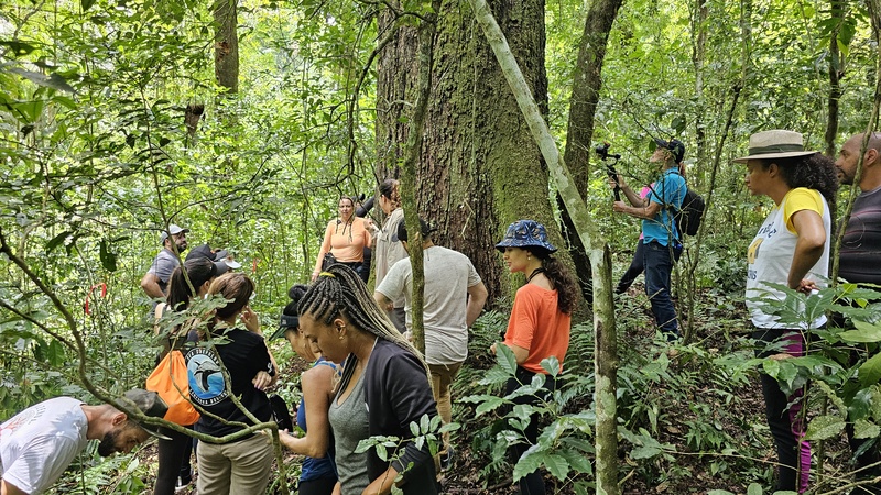 Um dia de vivência dentro da floresta acontece em fazenda na região de Franca