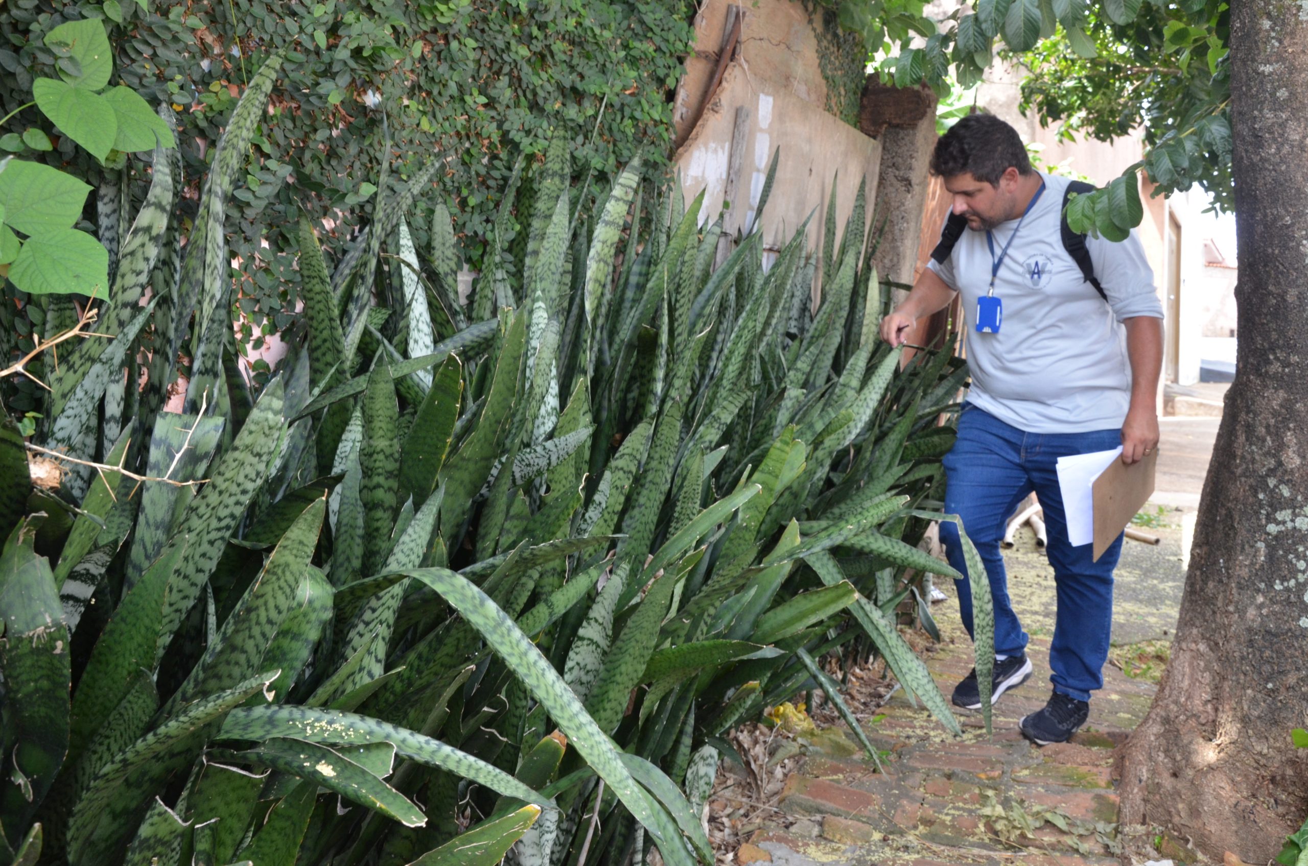 Dia D contra a Dengue realizado em Franca tem visita de agentes e fumacê