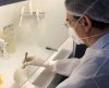 Pacientes com câncer começam a receber tratamento inovador em São Paulo - Jornal da Franca