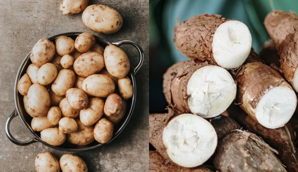 Batata ou mandioca? Saiba qual é melhor para a saúde, segundo especialistas