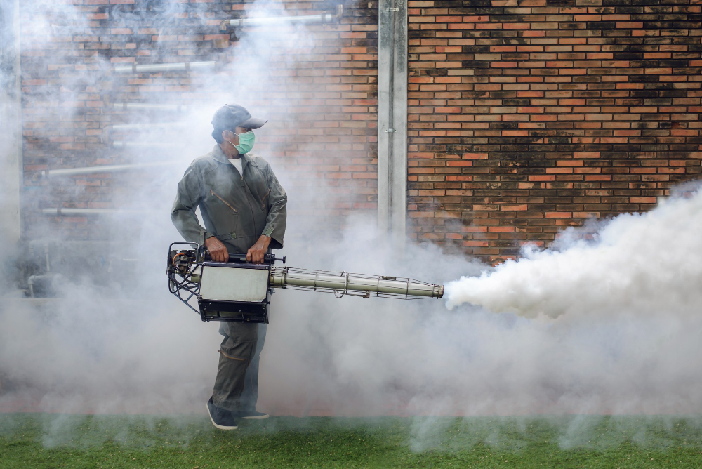 Franca e municípios paulistas estão em estado de emergência por causa da dengue