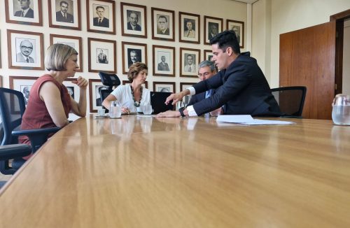 Deputada Graciela leva Santa Casa de Franca ao governo de SP para pedir mais leitos - Jornal da Franca