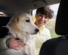Uber lança nova categoria para o transporte de pets, mas ainda não chegou a Franca - Jornal da Franca