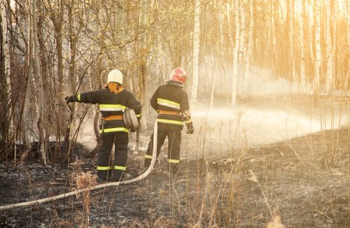 Defesa Civil estadual vem a Franca para treinar agentes no combate a queimadas - Jornal da Franca
