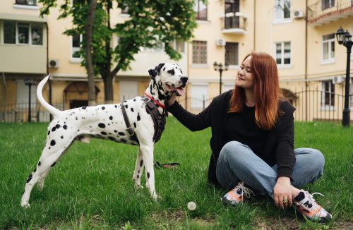 Condomínios podem proibir a presença de pets? Entenda! - Jornal da Franca