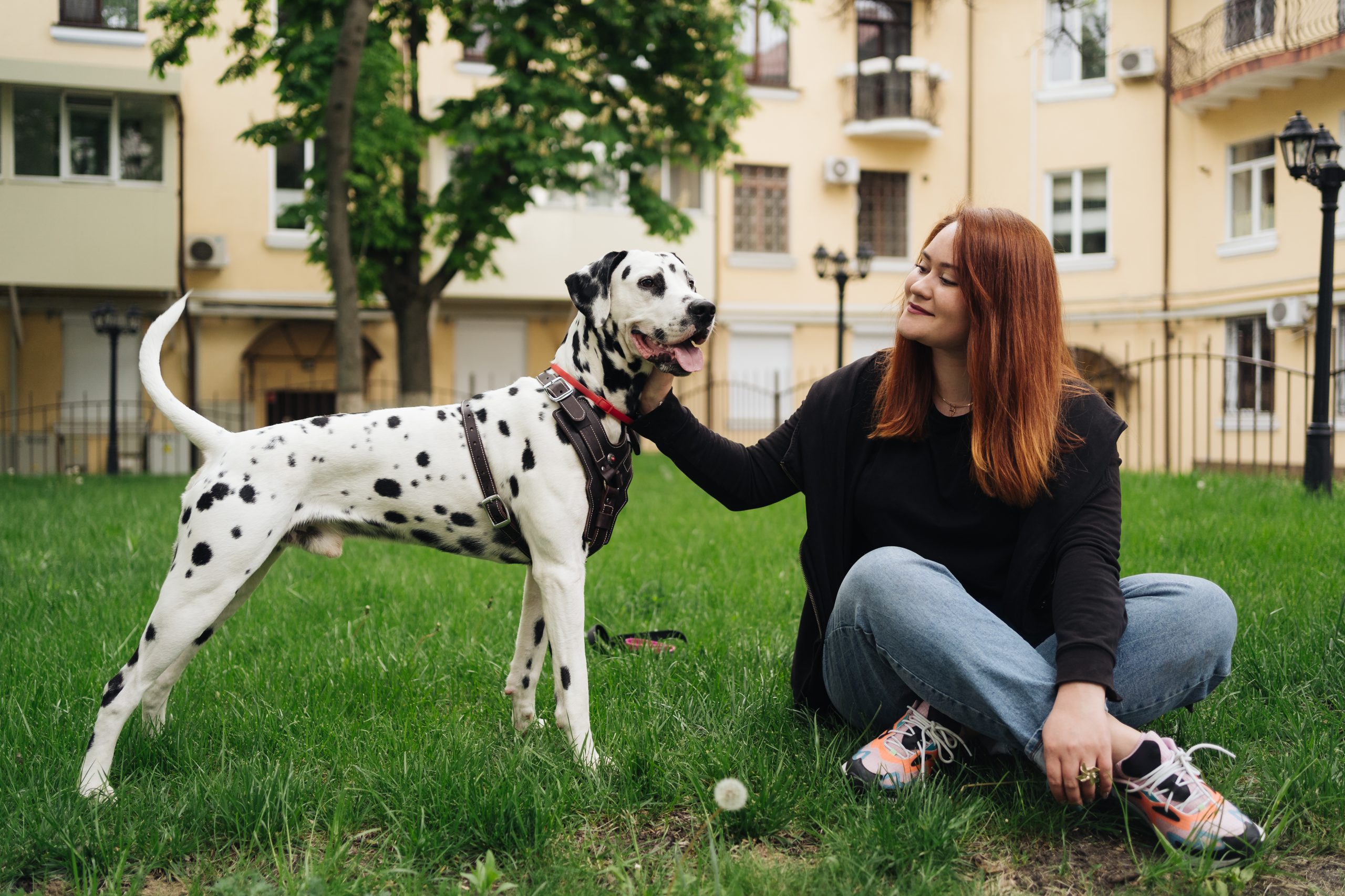 O condomínio pode proibir que eu tenha um cão de grande porte no apartamento?
