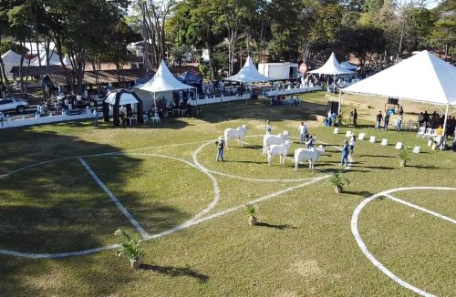Para se preparar para a Expoagro, Parque Fernando Costa fecha a partir desta segunda - Jornal da Franca