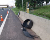 Motoristas deixam pneus velhos nas rodovias: ViaPaulista retira 70 todos os meses - Jornal da Franca