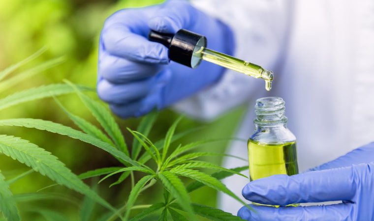 Está em Franca a única ONG de SP autorizada a cultivar maconha para uso medicinal