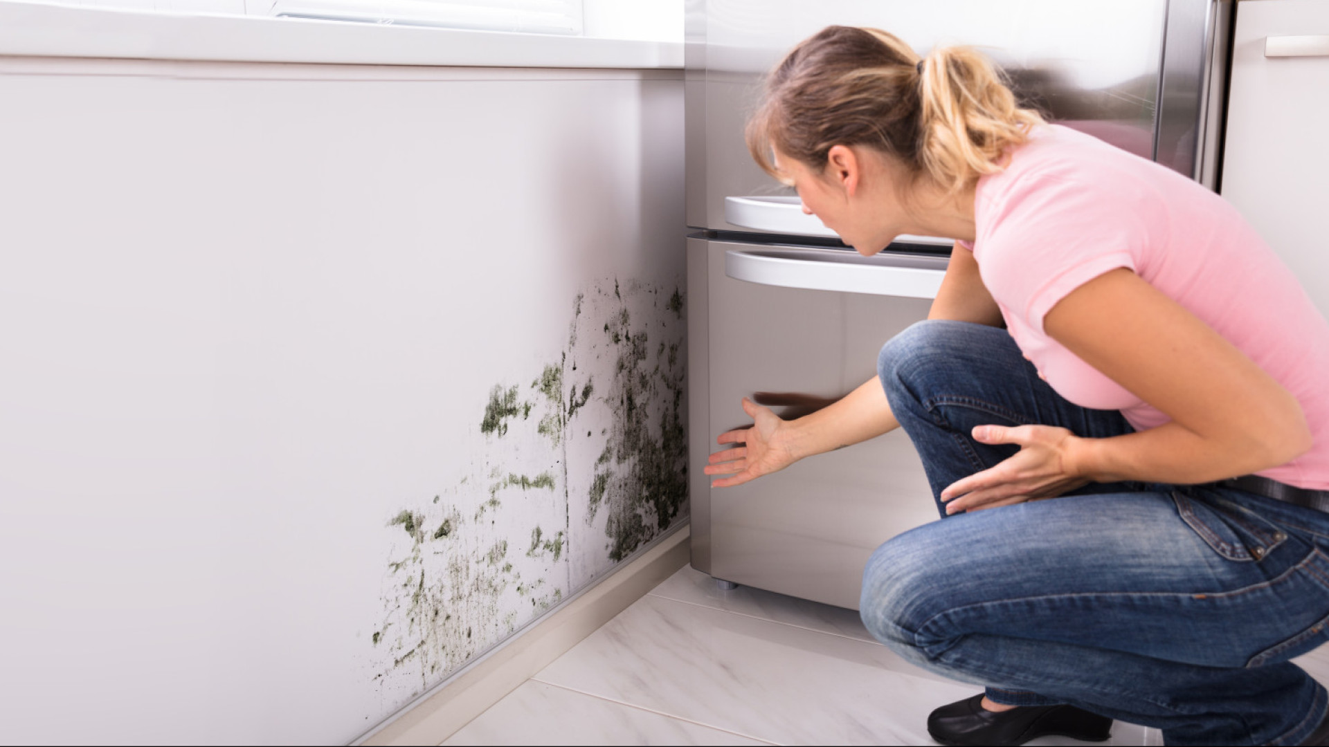 Sua casa está com mofo ou bolor? Saiba como isso pode afetar o seu corpo