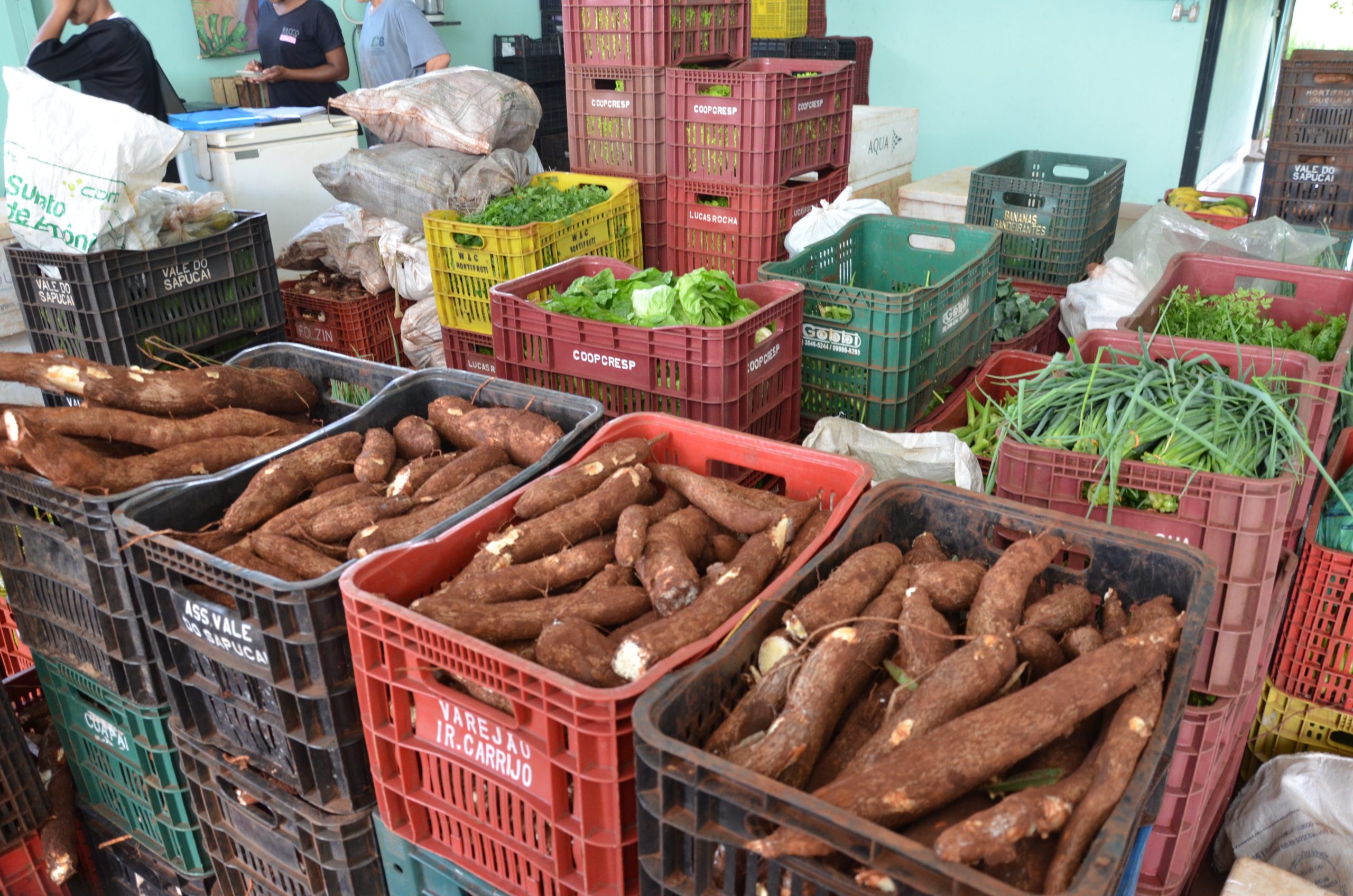 Agricultores de Franca podem participar de programa de fornecimento de alimentos