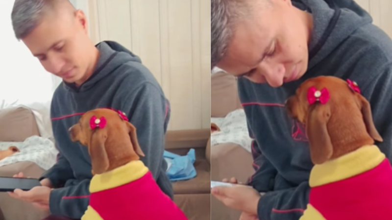 Cadela salsichinha apaixonada por namorado de tutora tem reação fofa ao ver rapaz