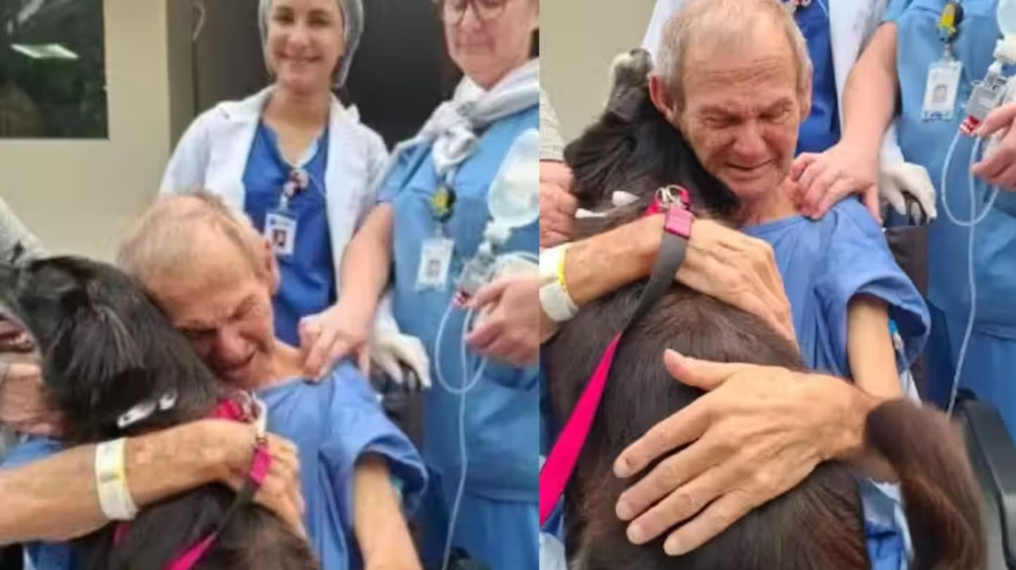 Amor que cura: idoso se recupera após visita de sua cachorrinha em hospital