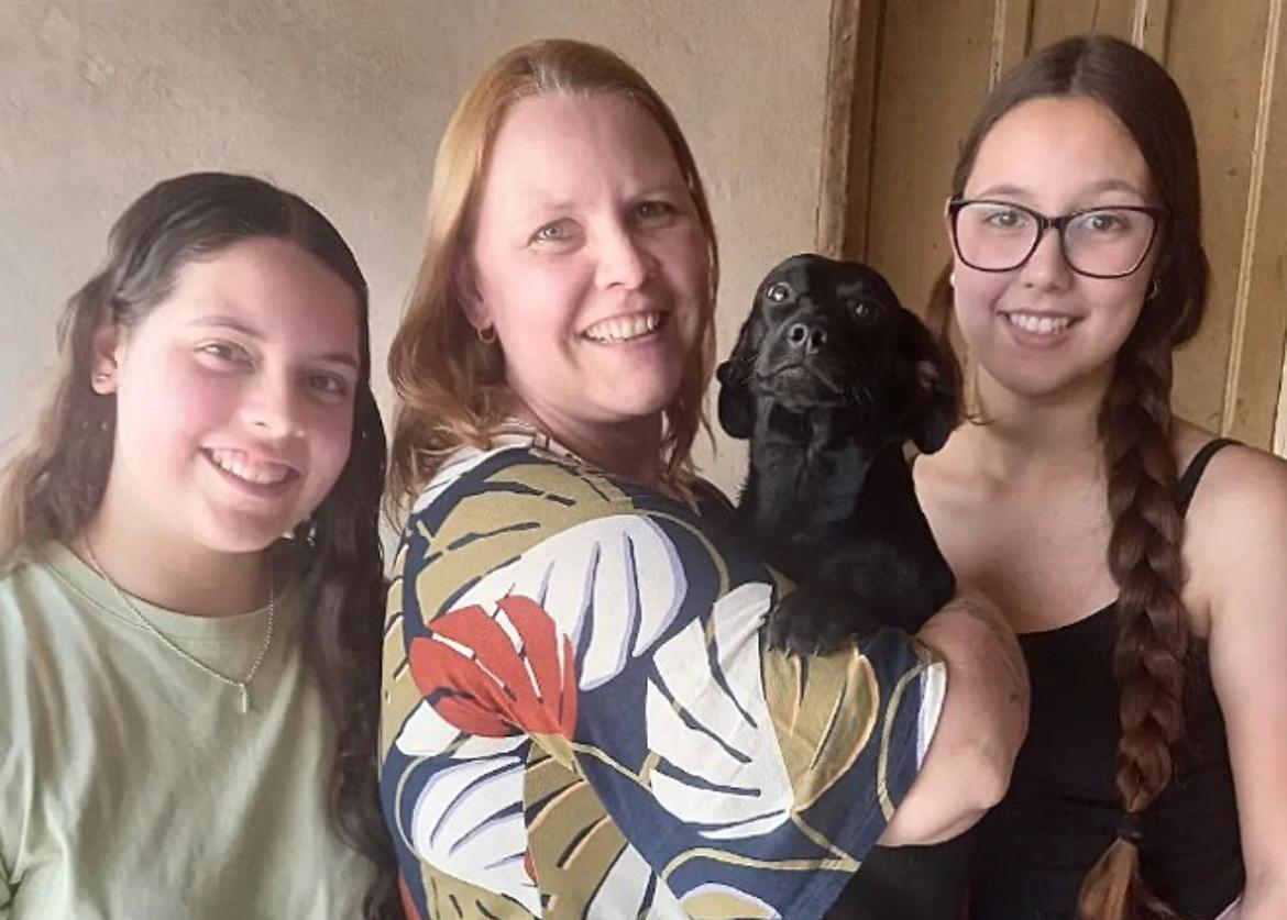 Cão de abrigo faz cara de felicidade ao receber carinho de protetora e cena encanta