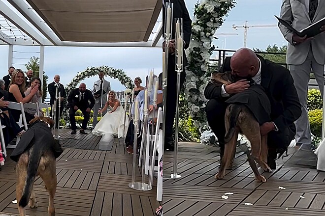 Homem é surpreendido por seu cachorro no casamento e não consegue segurar a emoção