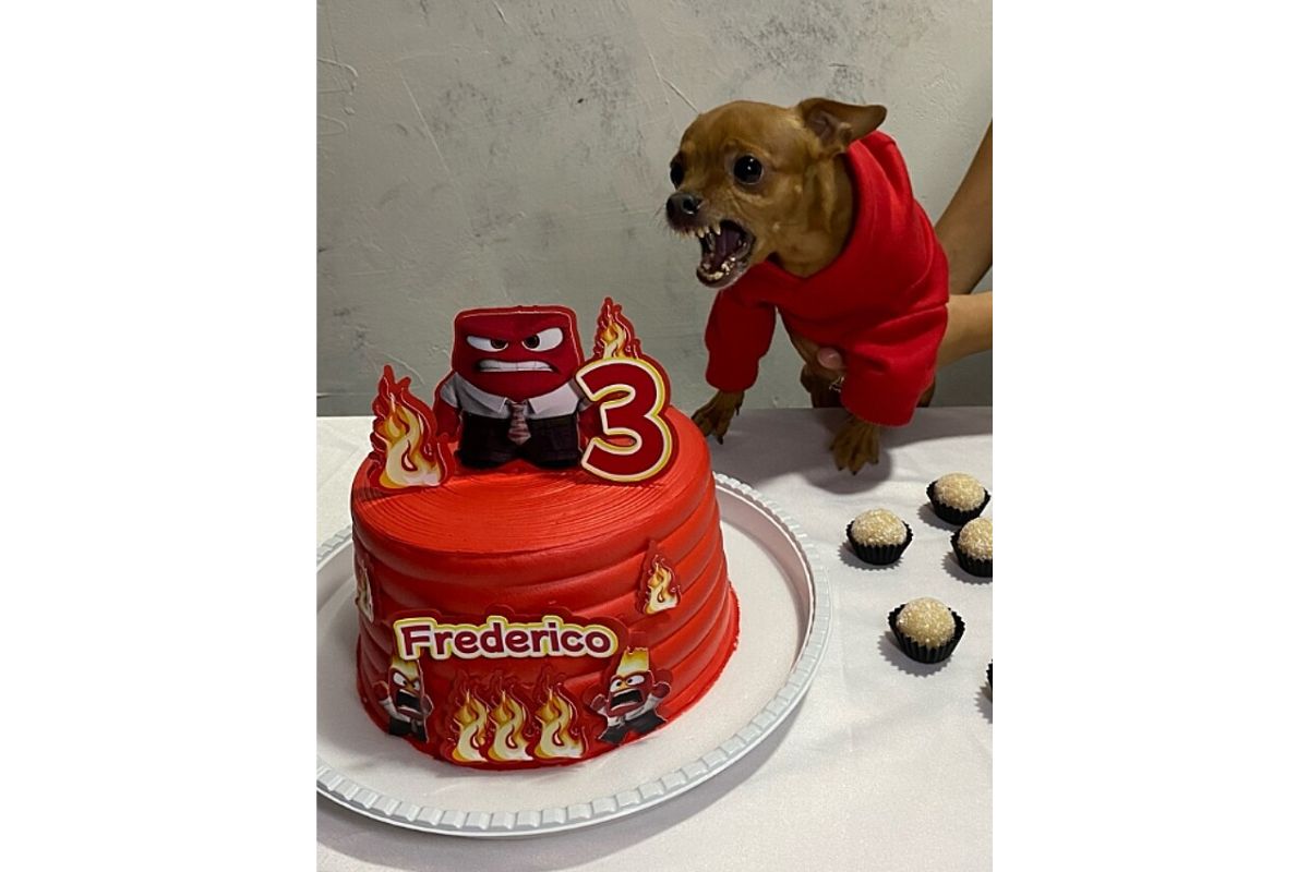 Cachorro ganha festa de aniversário com sua personalidade e diverte internautas!