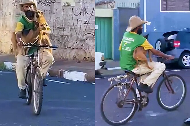 Aconteceu em Franca: veterinária registra homem na bicicleta com cães e se emociona