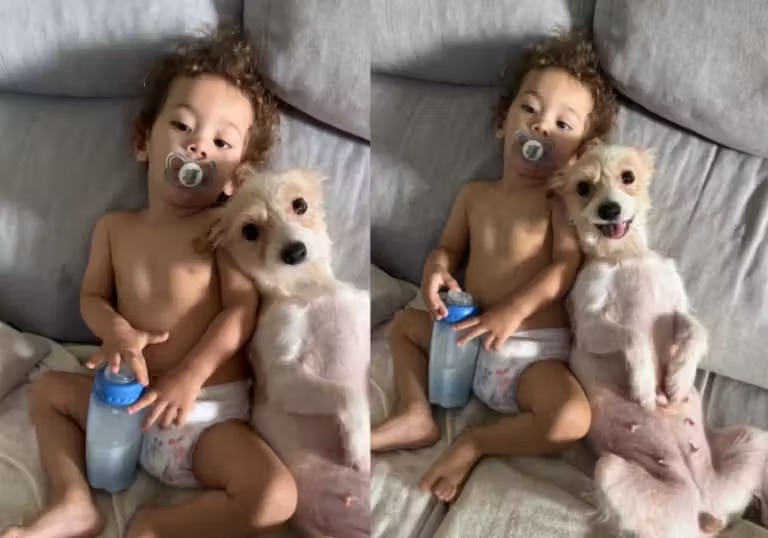 Cachorrinha larga os próprios filhotes para cuidar de uma criança doente