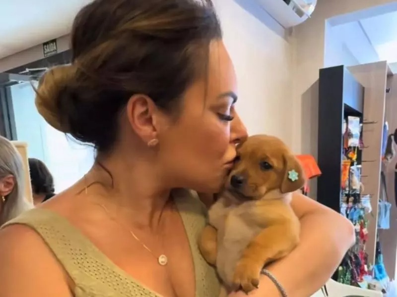 Filhote de cachorro da raça ‘tadinha da silva’ conquista a internet com seu olhar