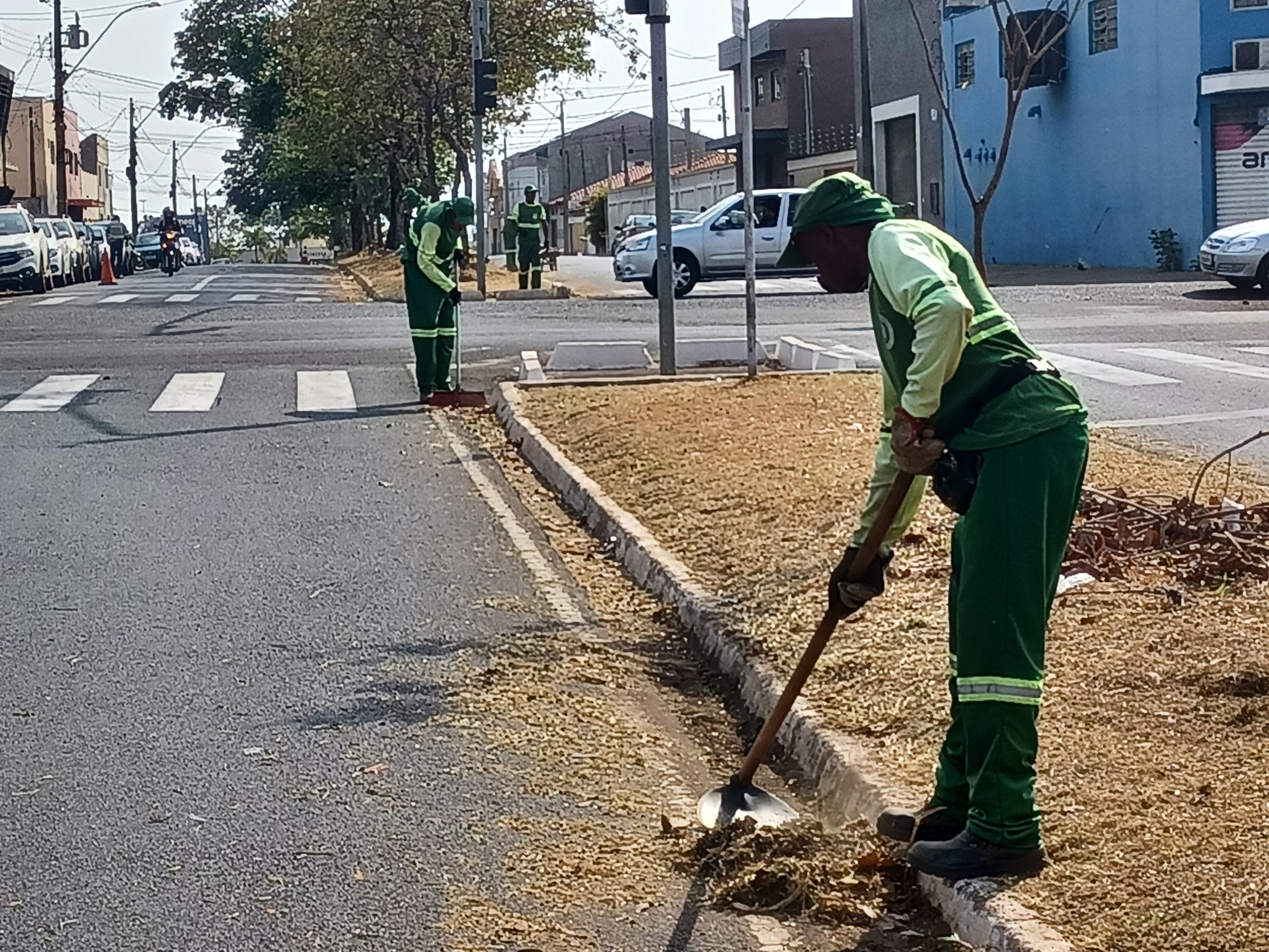 Saiba onde haverá limpeza e poda de árvores em Franca durante esta semana