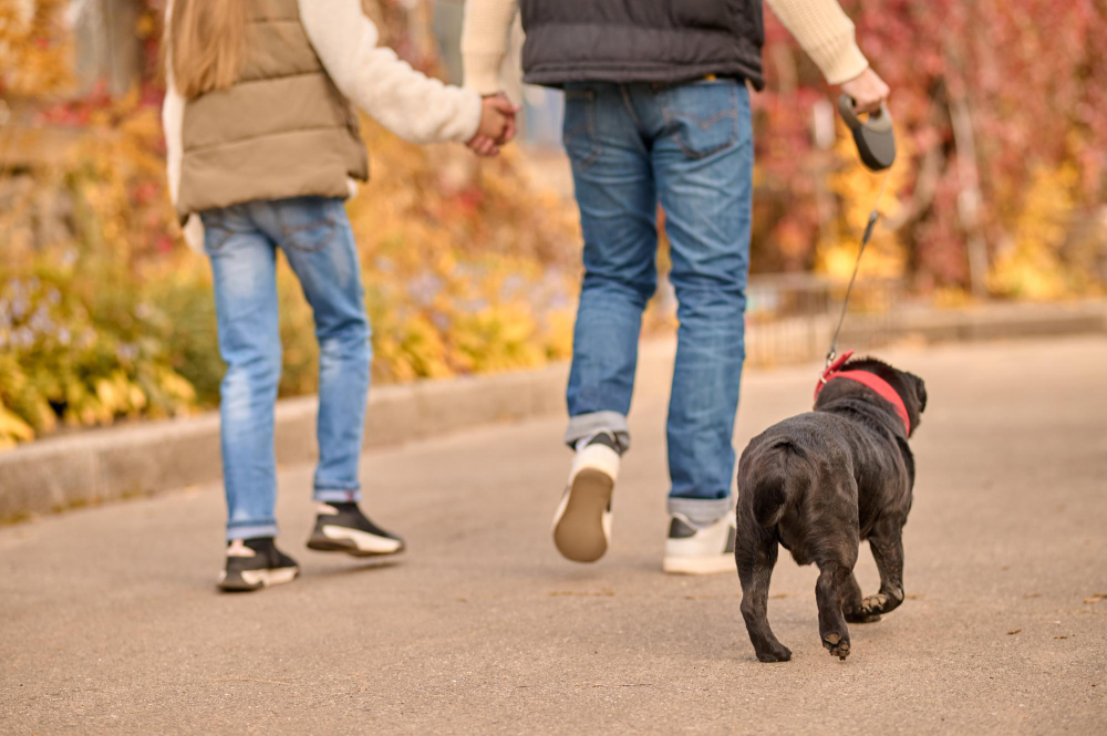 Unesp Franca anuncia uma manhã de atividades físicas para as pessoas e seus pets