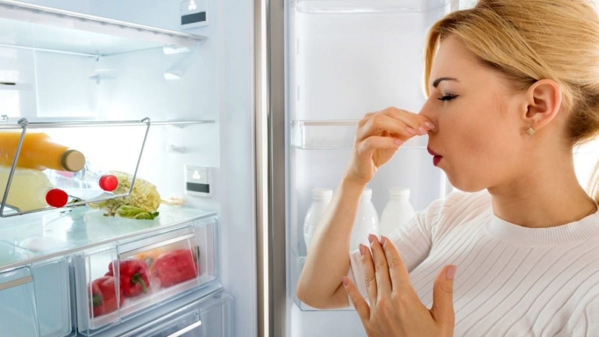 Sem luz? Saiba como salvar alimentos na geladeira durante quedas de energia