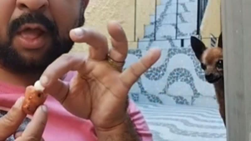 Cadelinha pinscher flagra tutor escondendo remédio em comida e tem reação hilária